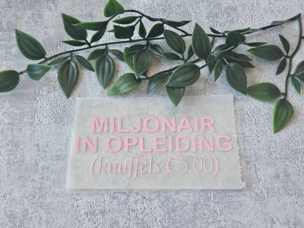 Strijkapplicatie | Miljonair in opleiding