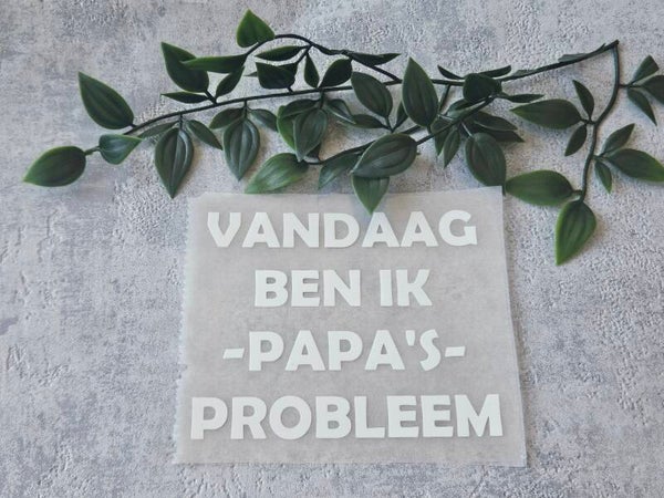 Strijkapplicatie | Vandaag ben ik papa's probleem