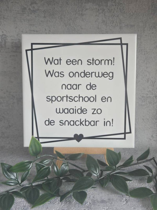 Tegeltje | Wat een storm