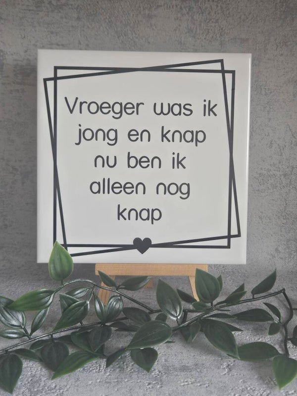 Tegeltje | Vroeger was ik jong en knap