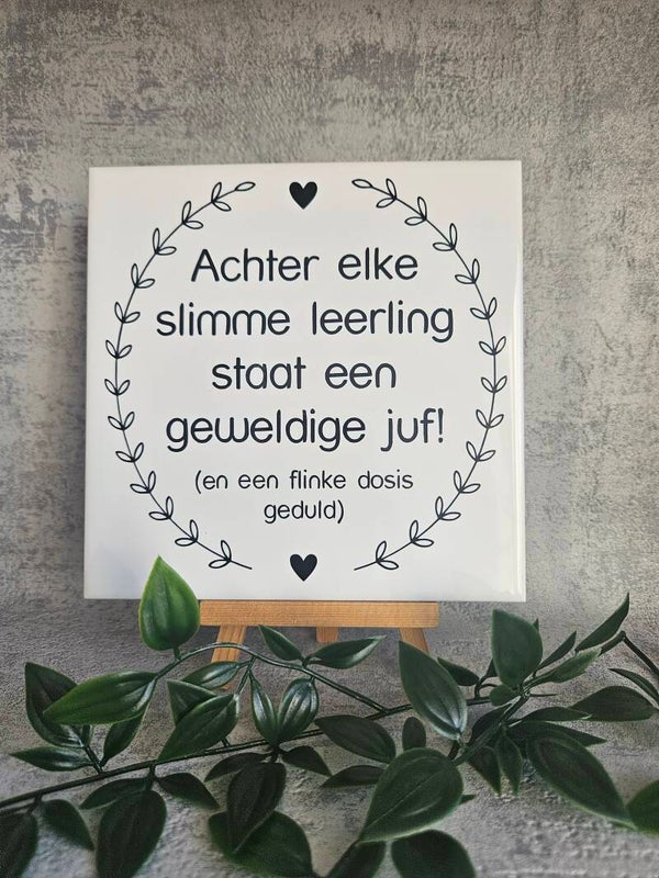 Tegeltje | Achter elke slimme leerling