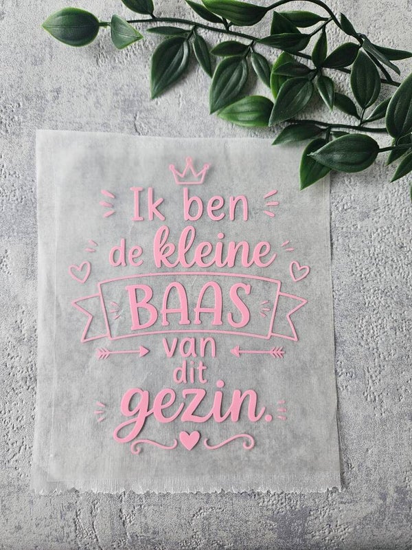 Strijkapplicatie | Ik ben de kleine baas van het gezin