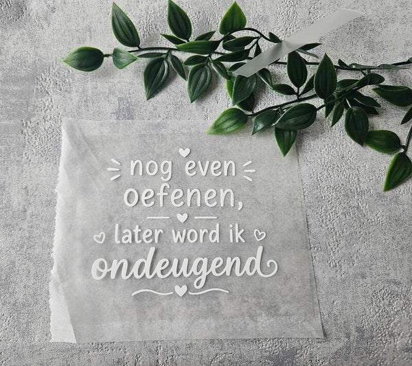 Strijkapplicatie | Nog even oefenen, later word ik ondeugend