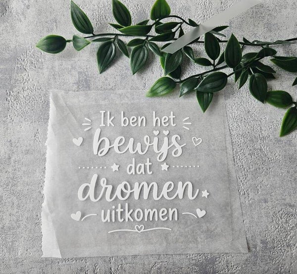 Strijkapplicatie | Ik ben het bewijs dat dromen uitkomen