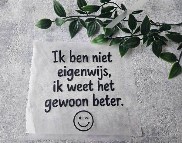 Strijkapplicatie | Ik ben niet eigenwijs
