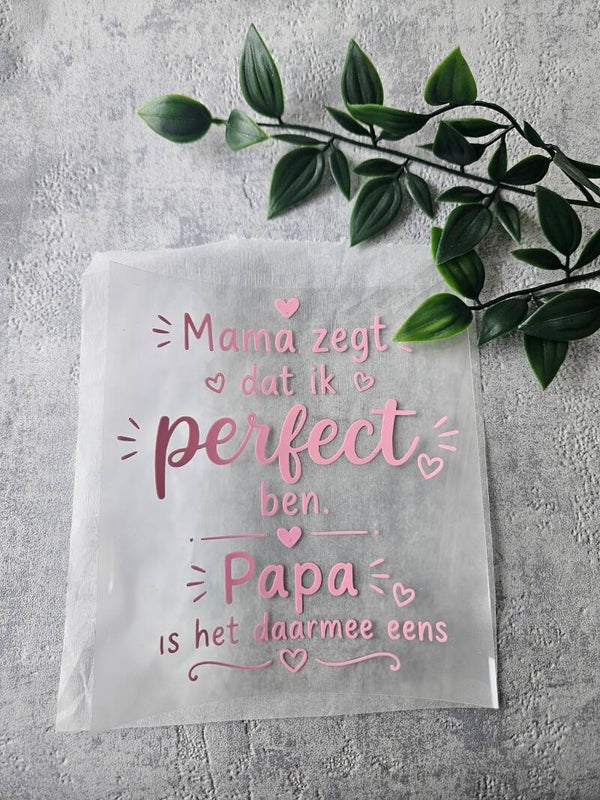 Strijkapplicatie | mama zegt dat ik perfect ben