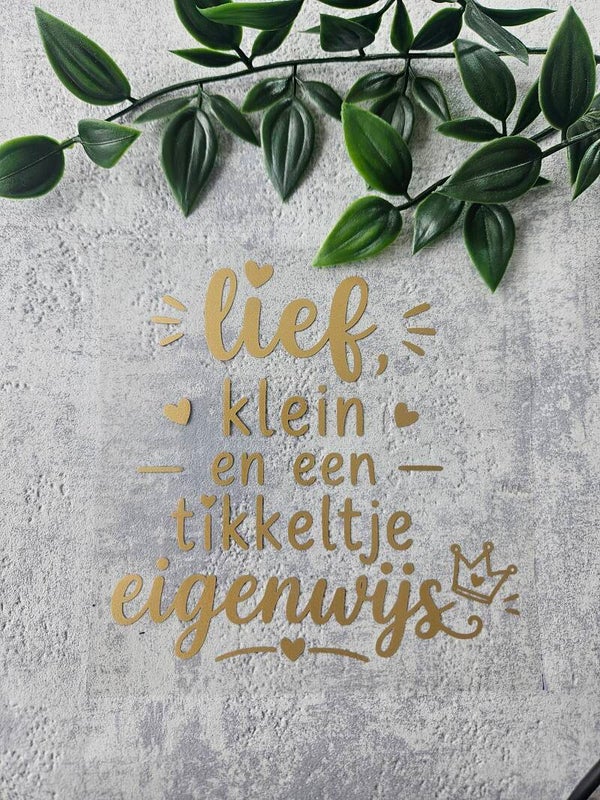 Strijkapplicatie | lief, klein en een tikkeltje eigenwijs
