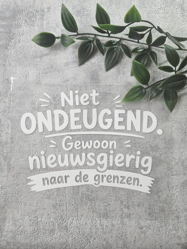 Strijkapplicatie | Niet ondeugend gewoon nieuwsgierig naar de grezen