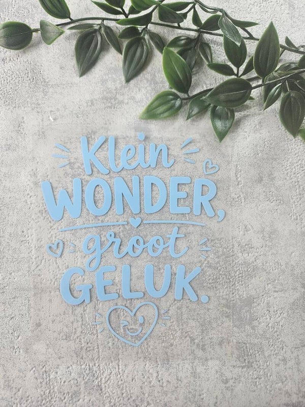 Strijkapplicatie | Klein wonder, groot geluk