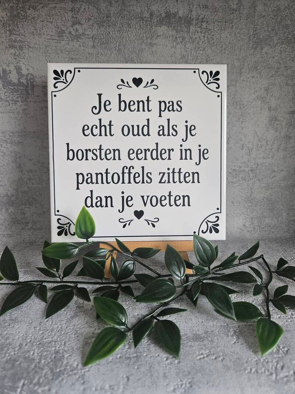 Tegeltje | Je bent pas oud (borsten)