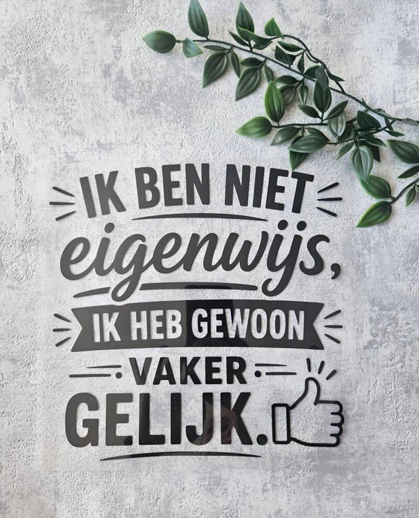 Strijkapplicatie | Ik ben niet eigenwijs, ik heb gewoon vaker gelijk