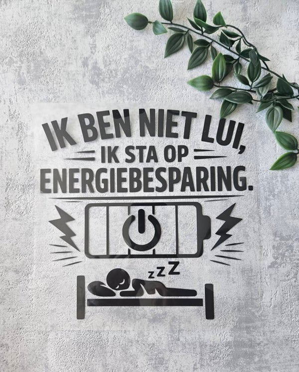 Strijkapplicatie | Ik ben niet lui, ik sta op energiebesparing