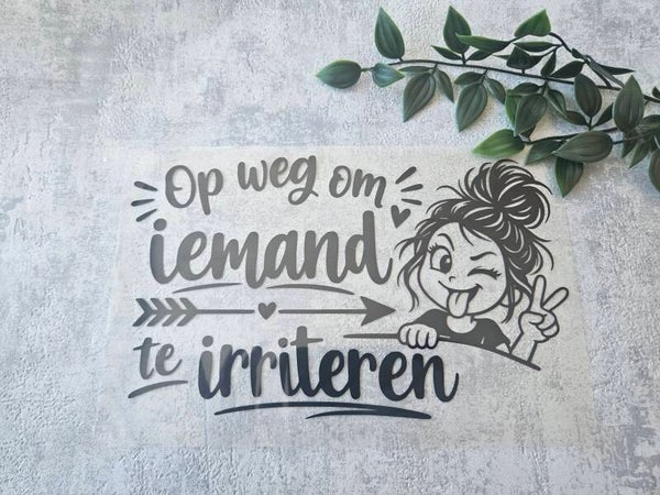 Strijkapplicatie | Op weg om iemand te irriteren