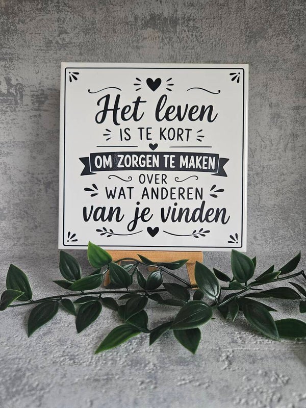 Tegeltje | Het leven is te kort