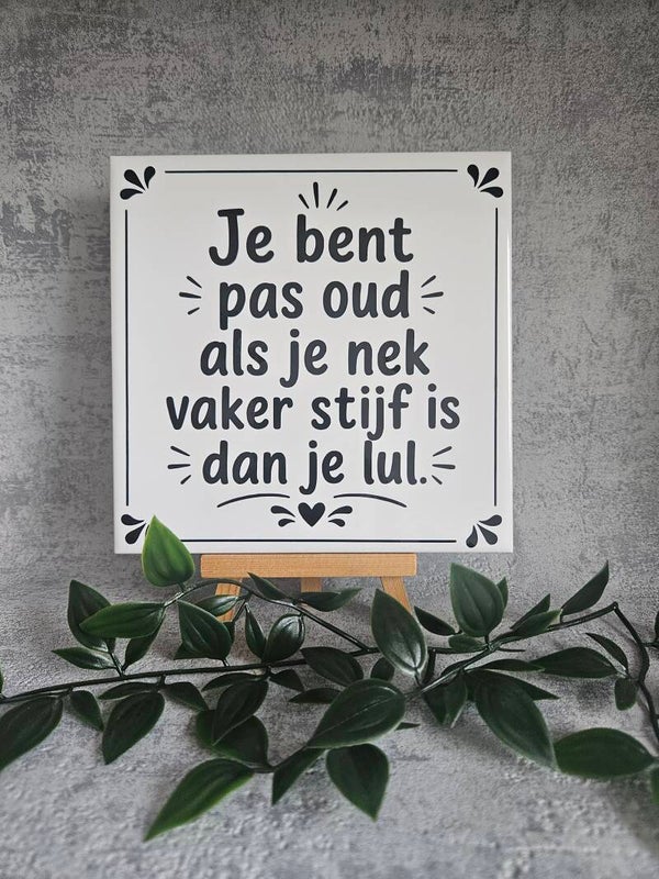 Tegeltje | Je bent pas oud.