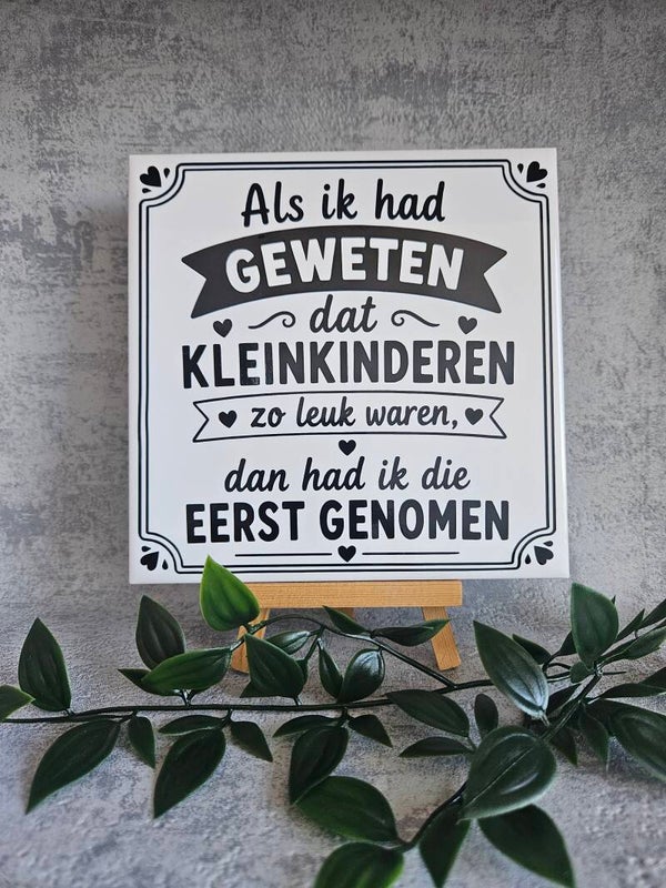Tegeltje | Als ik had geweten dat kleinkinderen zo leuk waren