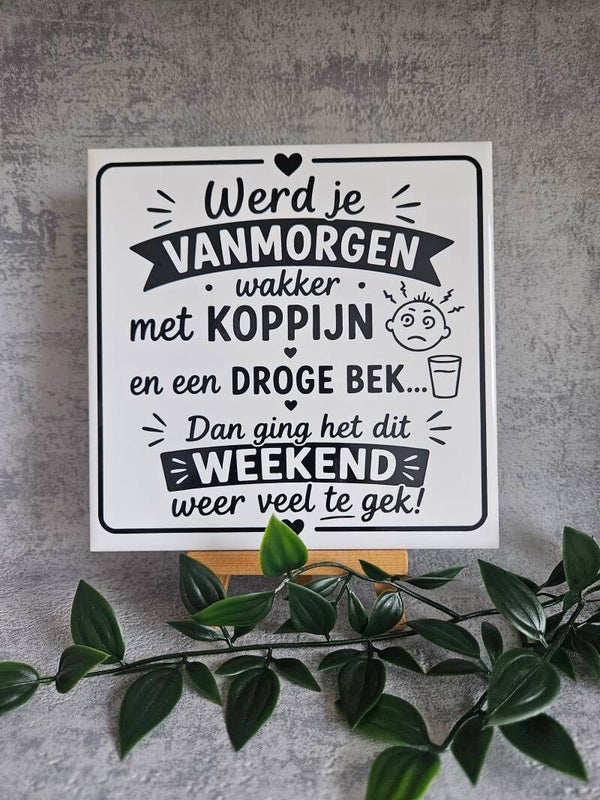 Tegeltje | Werd je vanmorgen wakker.....