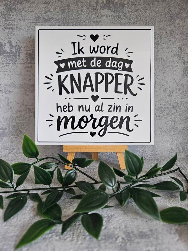 Tegeltje | Ik word met de dag knapper