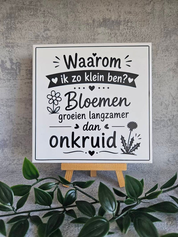 Tegeltje  | Waarom ik zo klein ben?