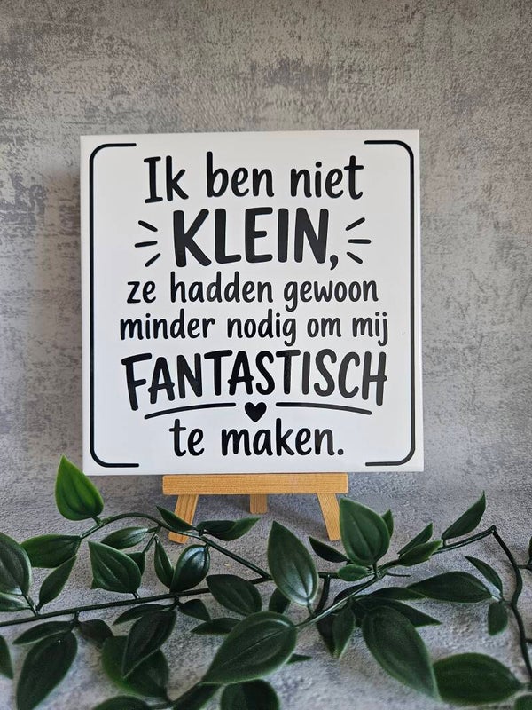 Tegeltje | Ik ben niet klein
