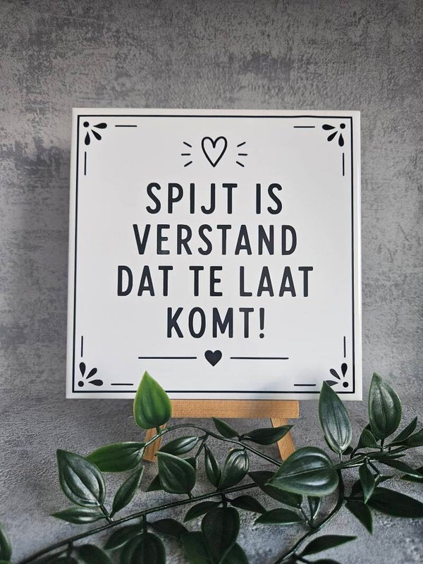 Tegeltje | Spijt is verstand dat te laat komt
