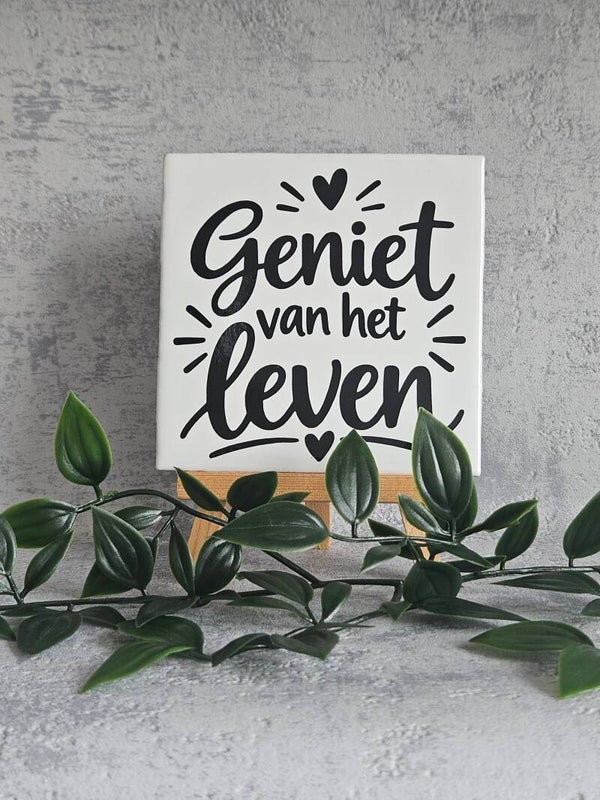 Tegeltje 10x10cm | Geniet van het leven