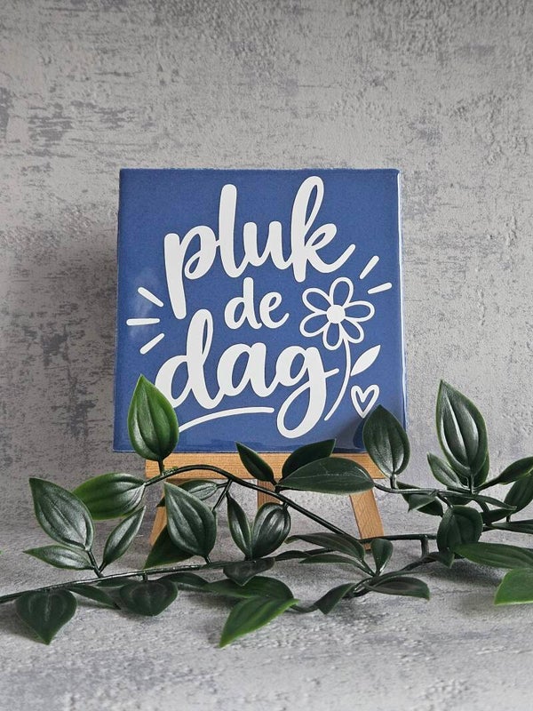 Tegeltje 10x10cm | Pluk de dag
