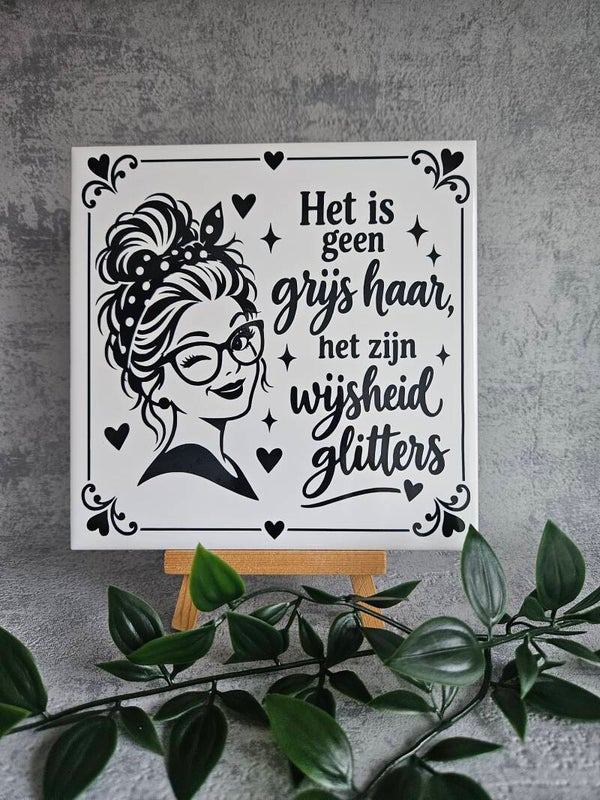 Tegeltje | Het is geen grijs haar, het zijn wijsheid glitters (vrouw)