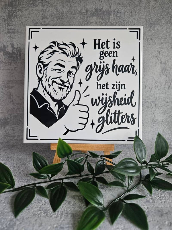 Tegeltje | Het is geen grijs haar, het zijn wijsheid glitters (man)