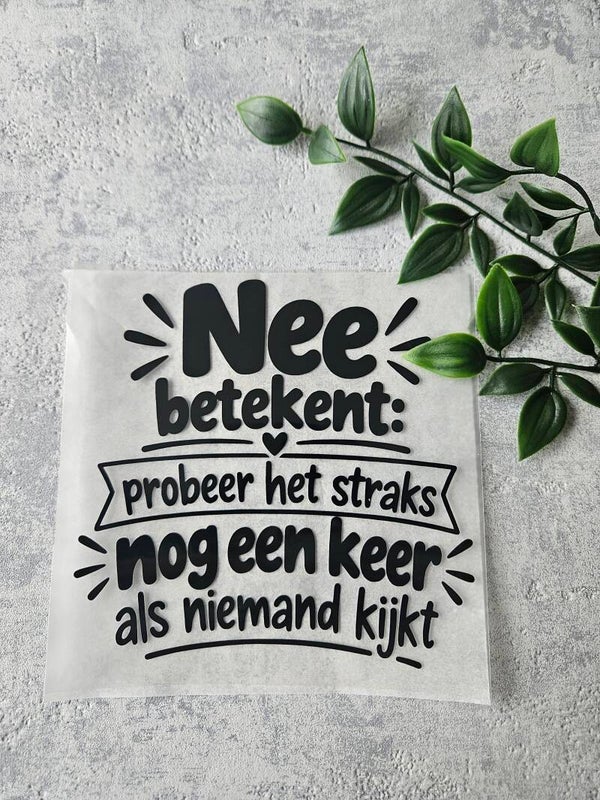 Strijkapplicatie | Nee betekent: probeer het straks nog een keer als niemand kijkt