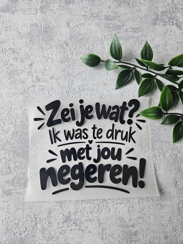 Strijkapplicatie | Zei je wat? Ik was te druk met jou negeren