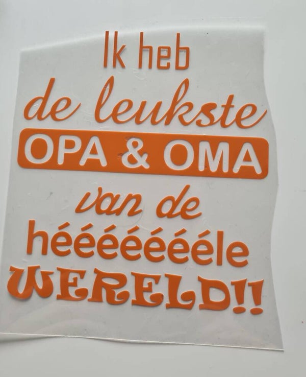 Strijkapplicatie | Ik heb de leukste opa en oma van de hele wereld