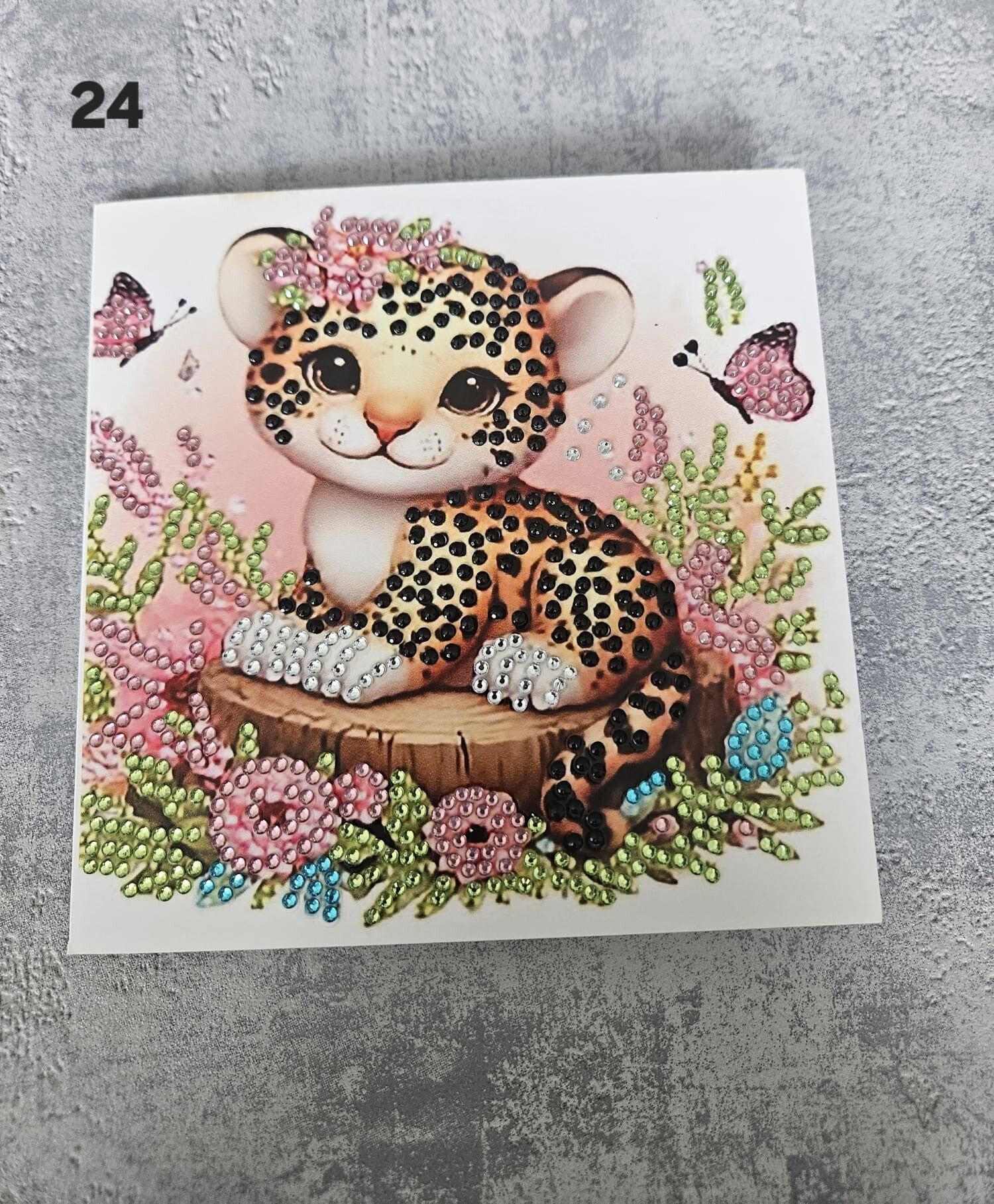 Kaart Dieren | 24
