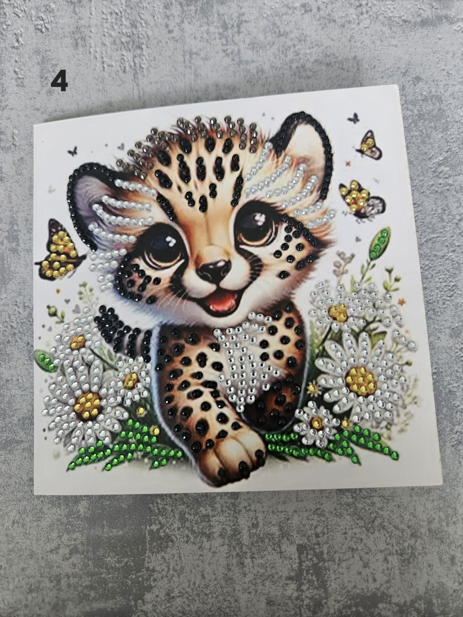 Kaart Dieren | 4