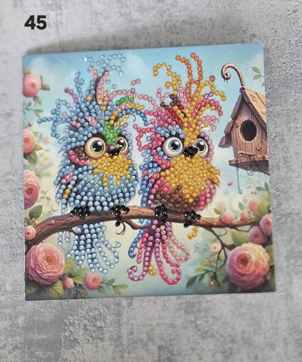 Kaart Dieren | 45