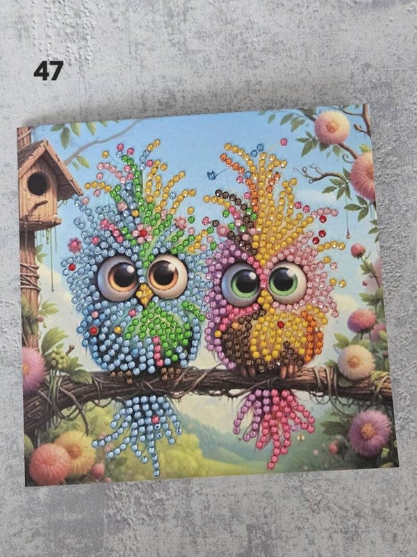 Kaart Dieren | 47