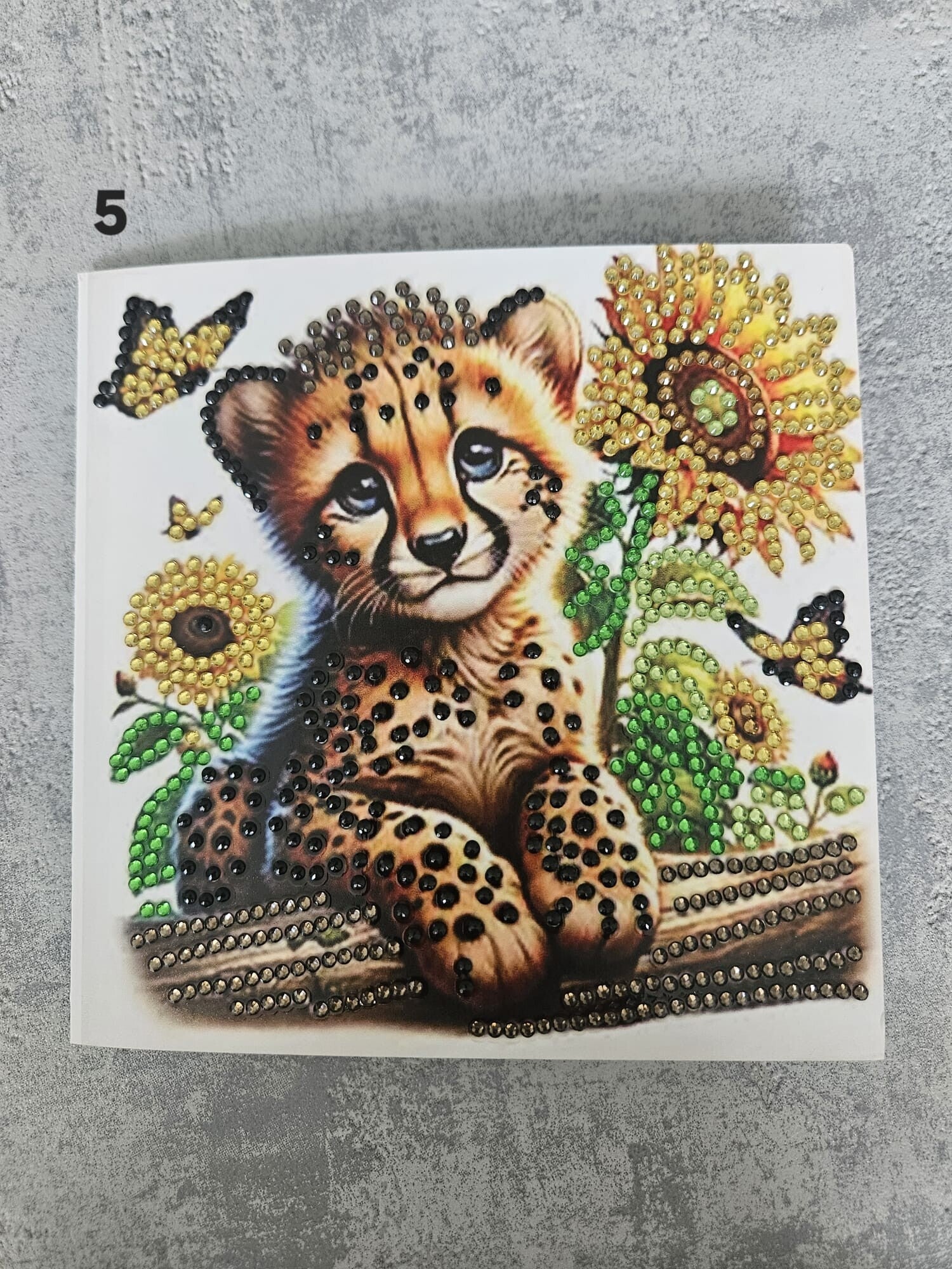 Kaart Dieren | 5