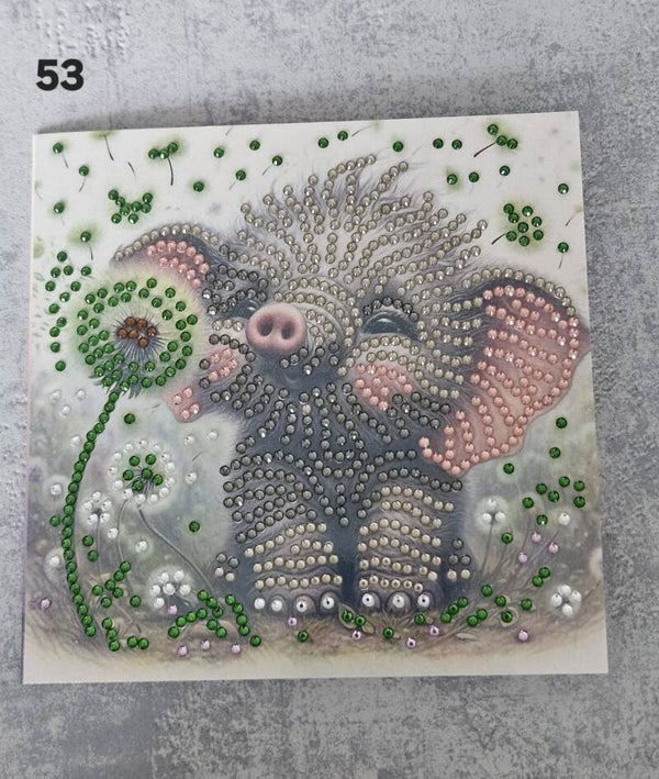 Kaart Dieren | 53