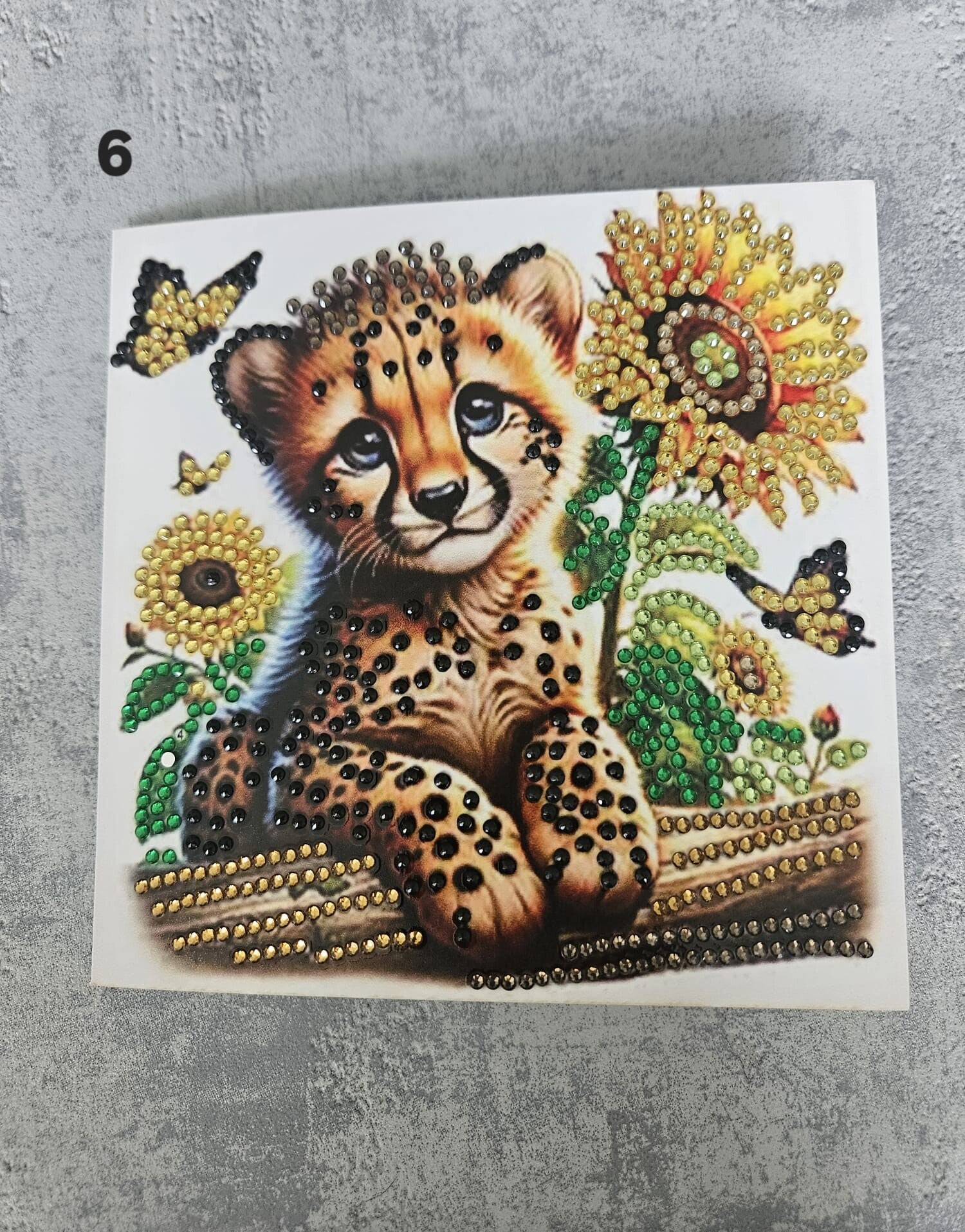 Kaart Dieren | 6