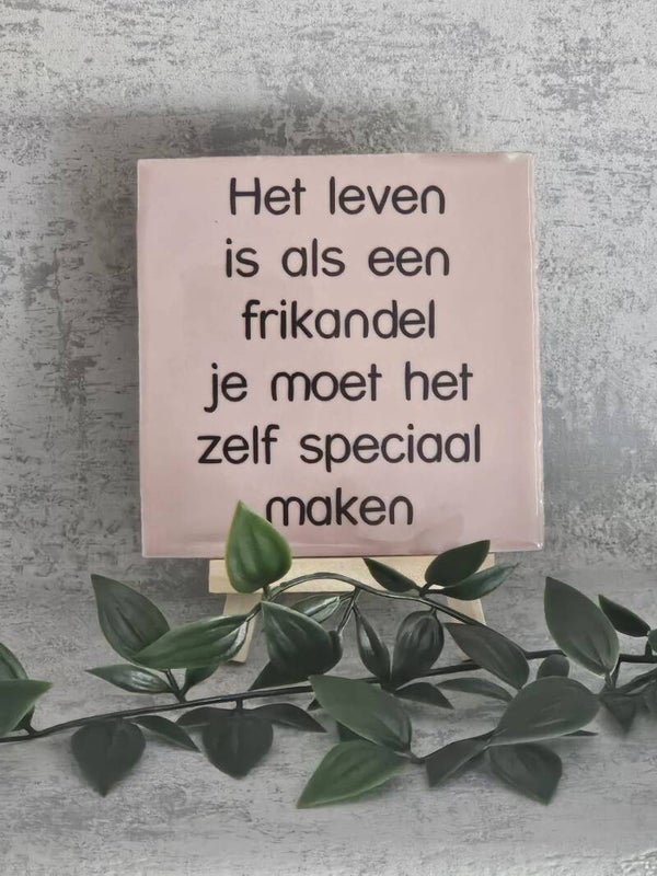 Tegeltje 10x10cm | het leven is als een frikandel