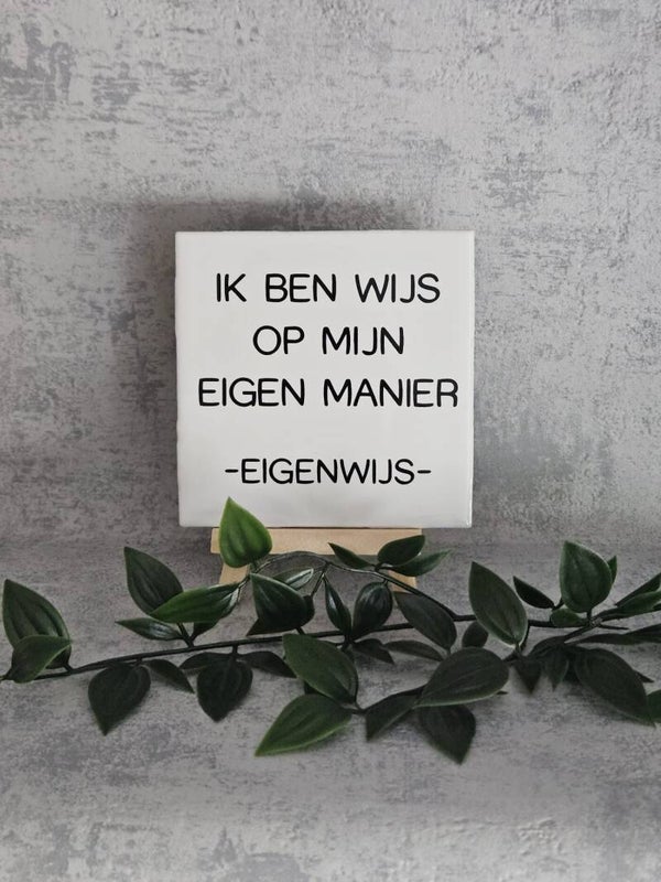 Tegeltje 10x10cm | ik ben wijs op mijn eigen manier