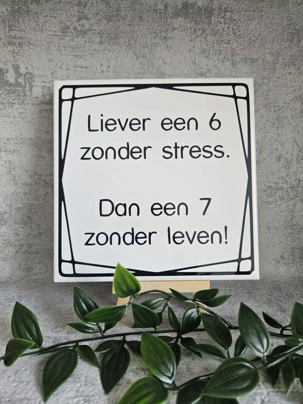 Tegeltje | liever een 6 zonder stress