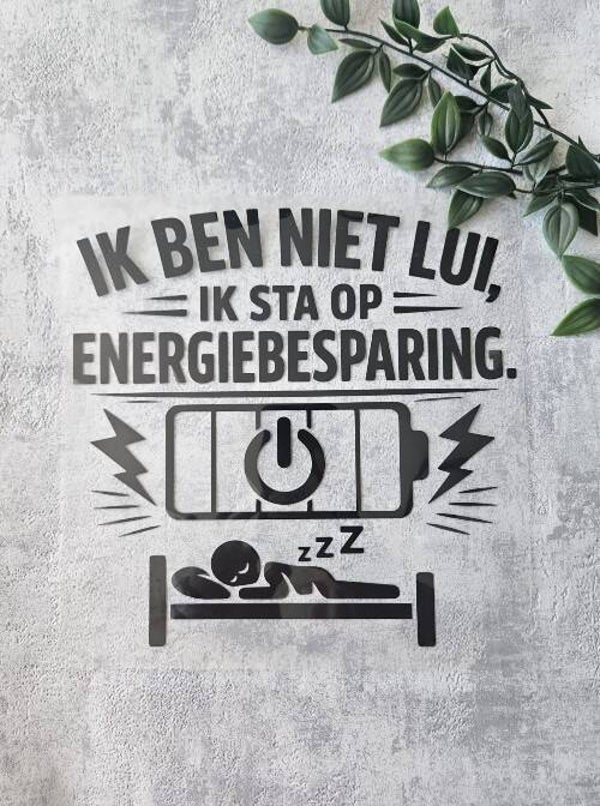 Strijkapplicatie volwassenen | Ik ben niet lui