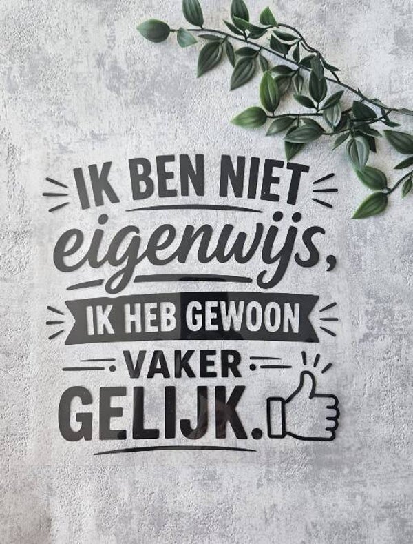 Strijkapplicatie Volwassenen - ik ben niet eigenwijs