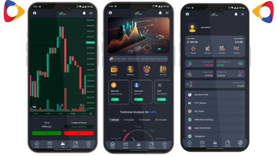 Hyip TRADER Investiment Pro 5V Php Script