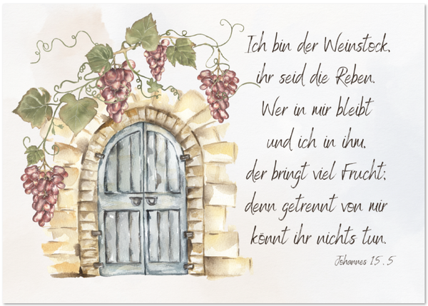 Postkarte Weinrebe