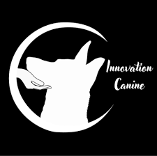 innovation-canine-standard-x4ks90.png