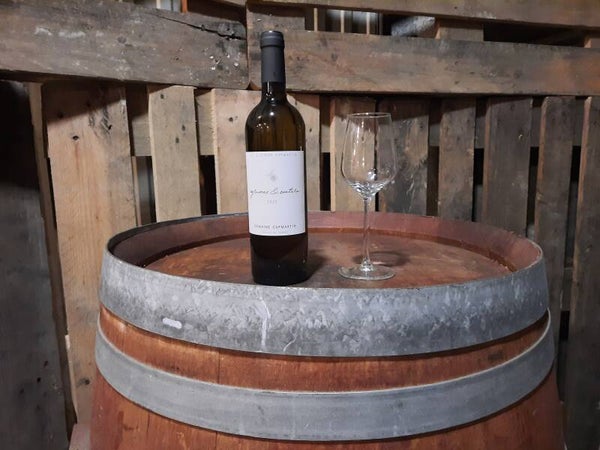 Domaine Capmartin "Agrumes & Caetera"