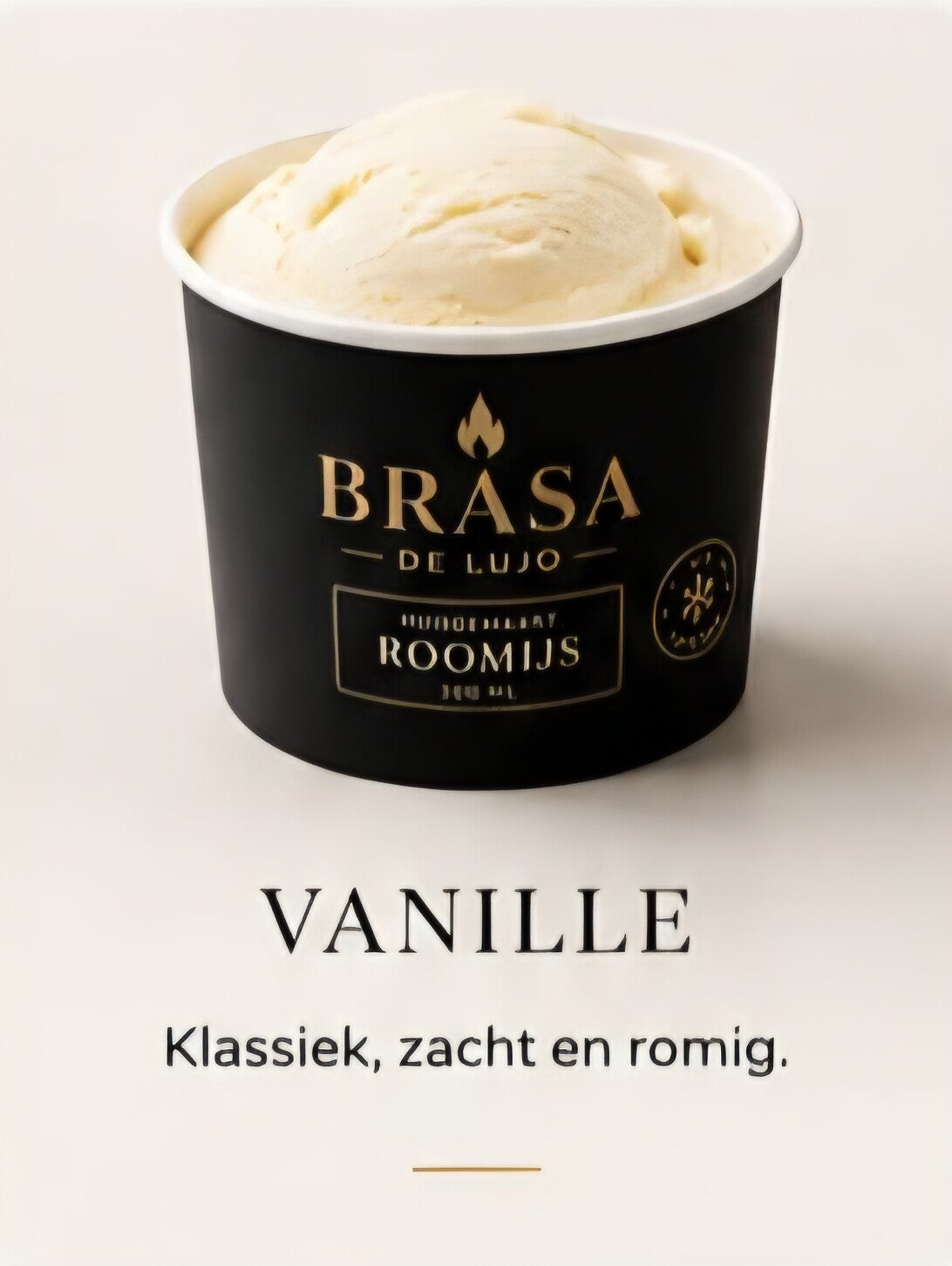 Roomijs Vanille