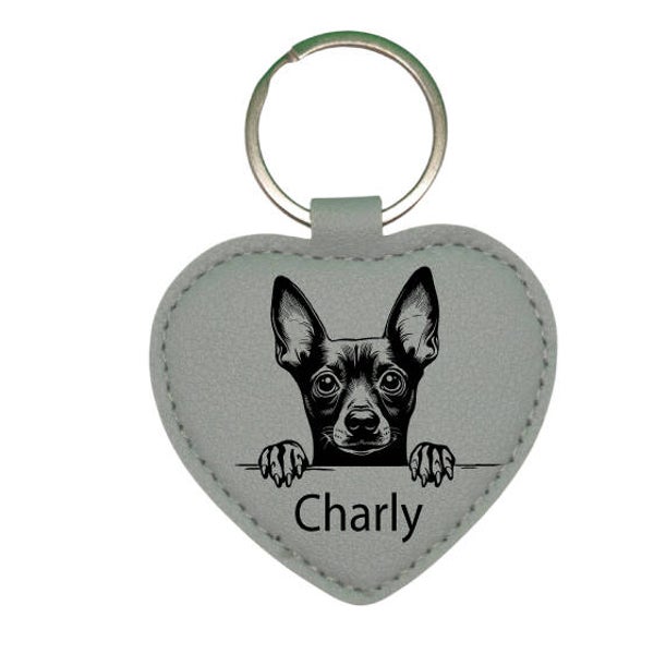 Hundemarke mit Gravur geräuschlos AUSTRIAN PINSCHER